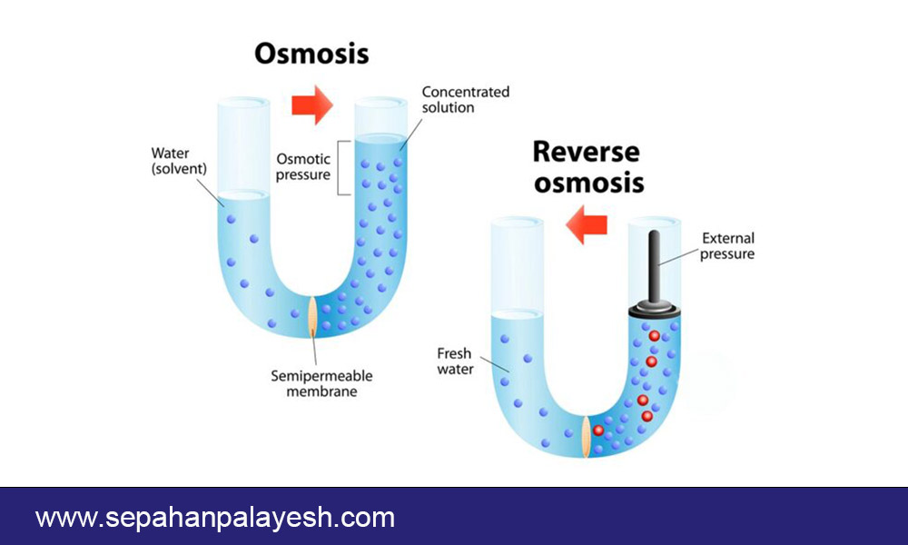 osmosis-vs-reverse osmosis